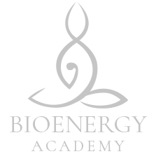 Bioenergy Academy