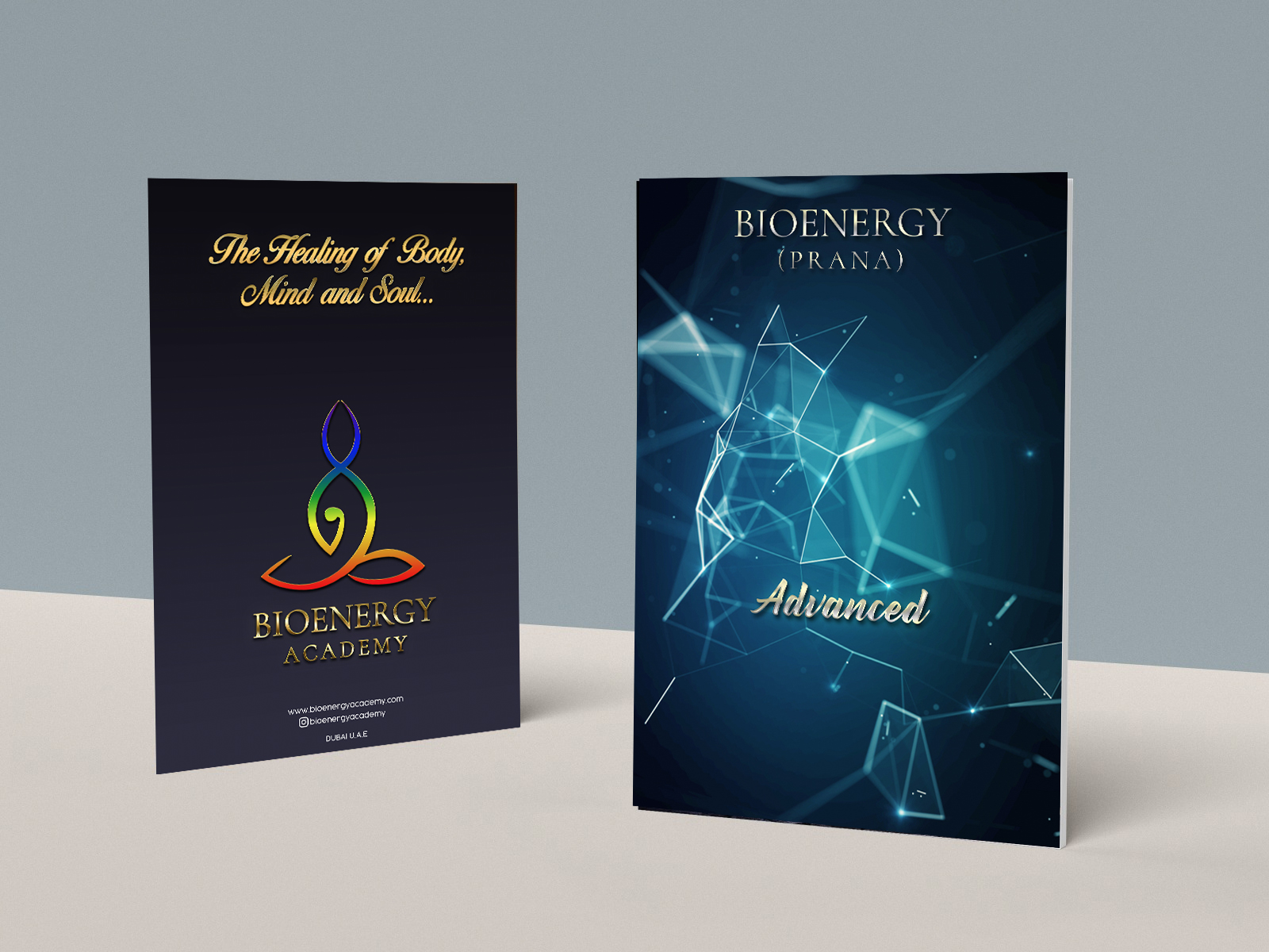 Bioenergy Academy (Advanced)